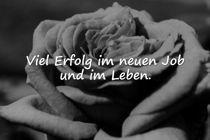 Bilder mit spruch zum abschied kollegin - 14