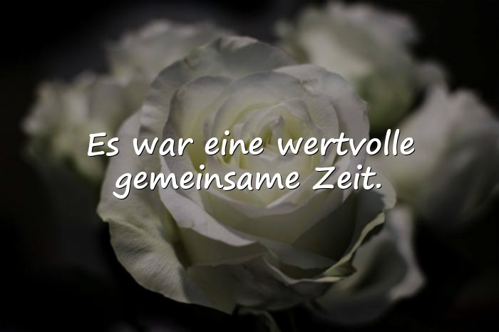Bilder mit spruch zum abschied kollegin - 8
