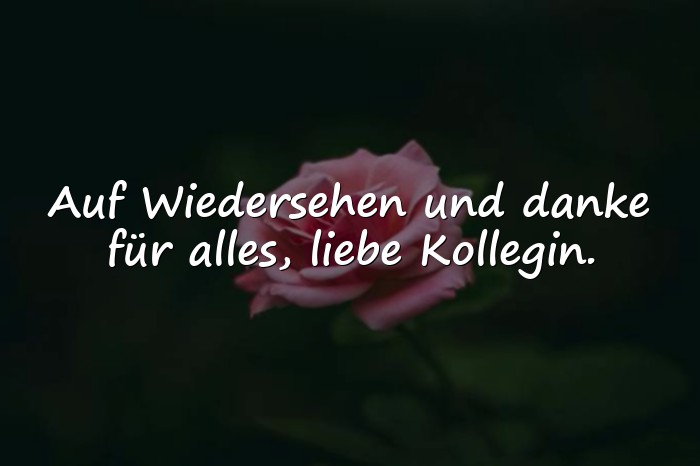 Bilder mit spruch zum abschied kollegin - 1