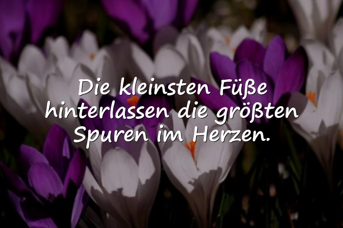 Bilder mit spruch zur geburt - 19