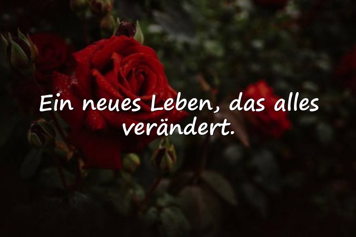 Bilder mit spruch zur geburt - 21