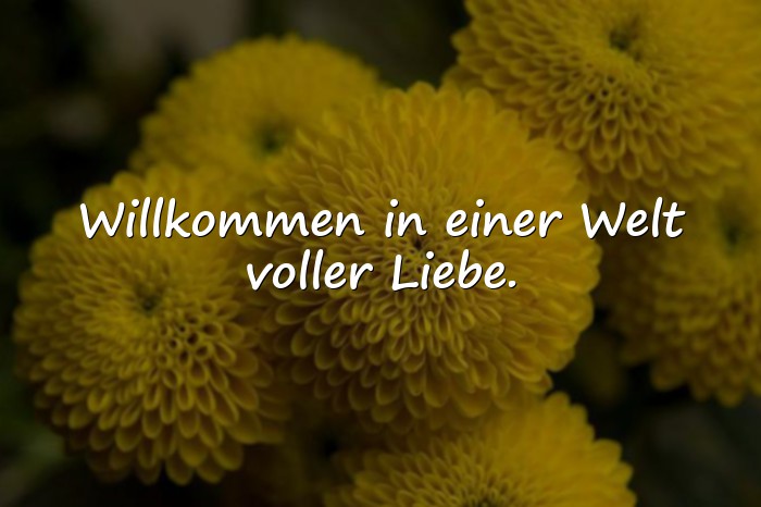 Bilder mit spruch zur geburt - 16