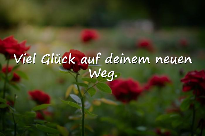 Bilder mit sprüche abschied kollege - 5