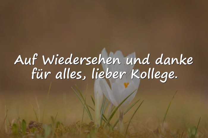 Bilder mit sprüche abschied kollege - 1