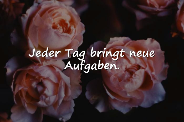 Bilder mit sprüche arbeit - 12