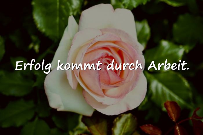 Bilder mit sprüche arbeit - 20
