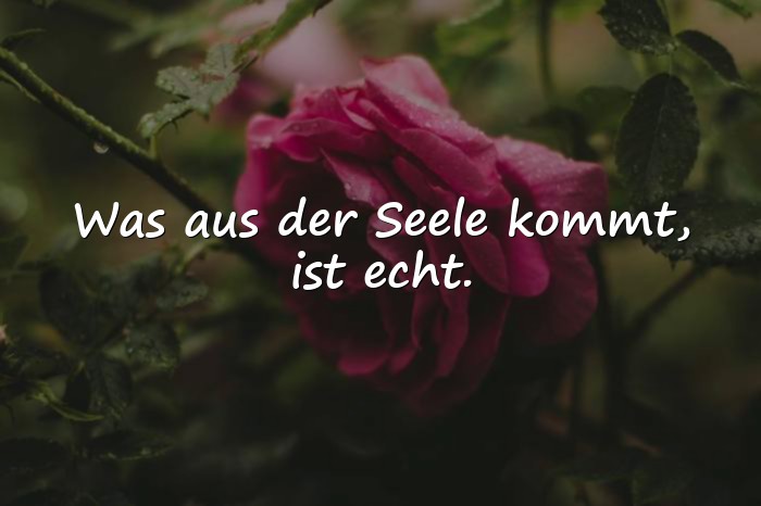 Bilder mit sprüche aus der seele - 16