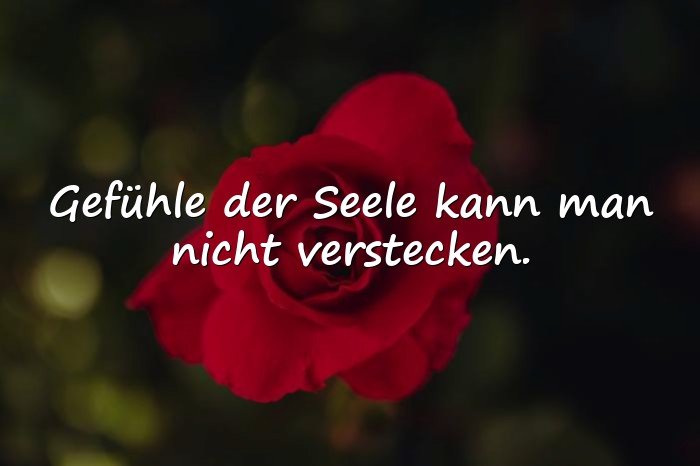 Bilder mit sprüche aus der seele - 6