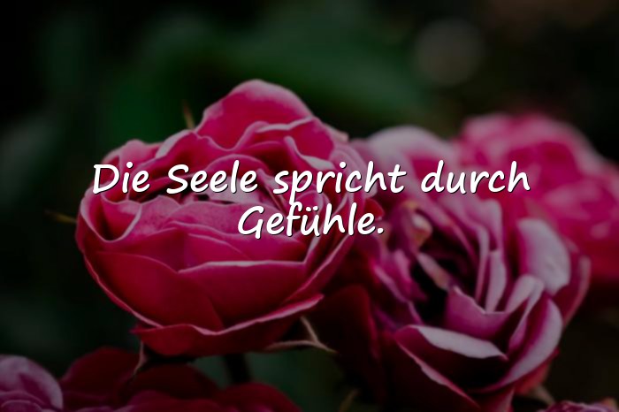Bilder mit sprüche aus der seele - 1