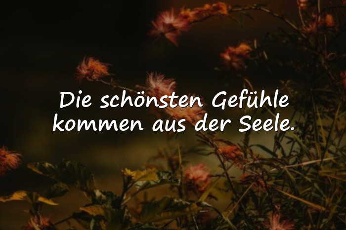 Bilder mit sprüche aus der seele - 21