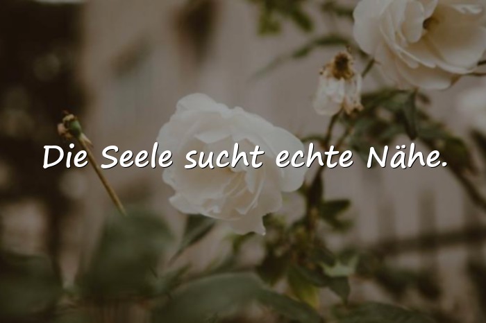 Bilder mit sprüche aus der seele - 16