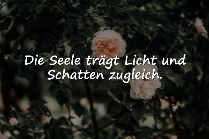 Bilder mit sprüche aus der seele - 6
