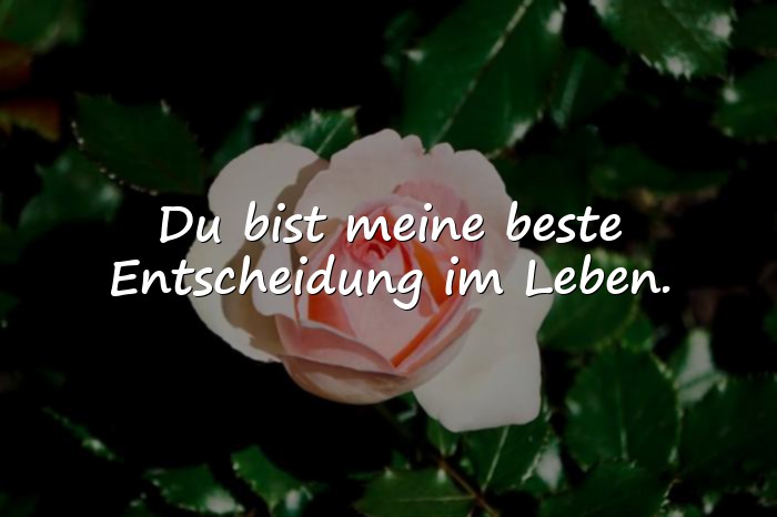 Bilder mit sprüche beste freundin - 7