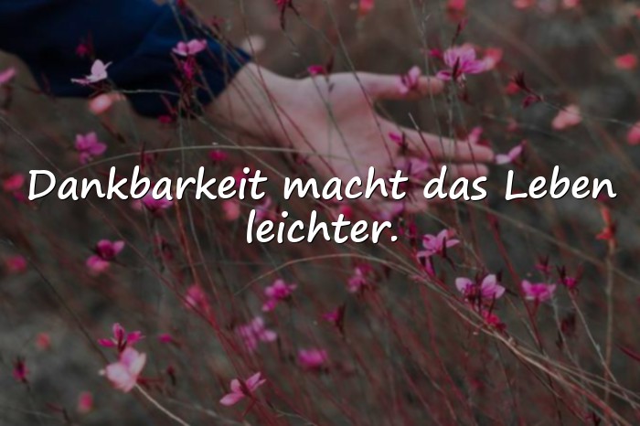 Bilder mit sprüche dankbarkeit - 5