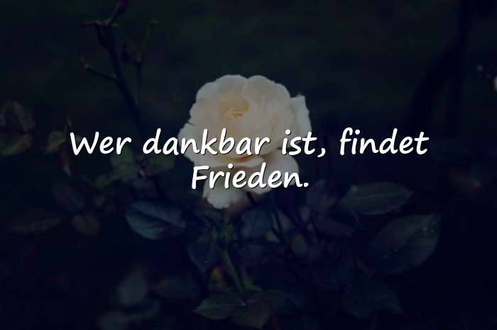 Bilder mit sprüche dankbarkeit - 24