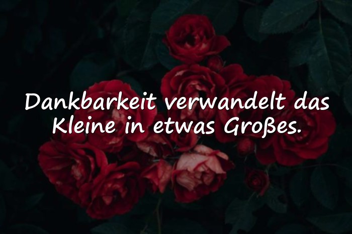 Bilder mit sprüche dankbarkeit - 20