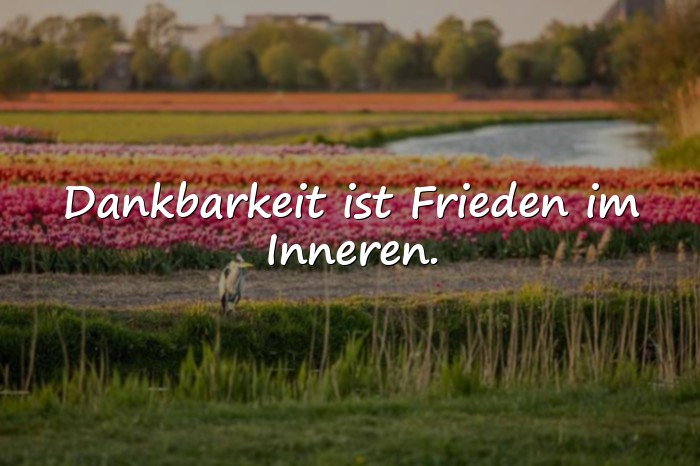Bilder mit sprüche dankbarkeit - 15