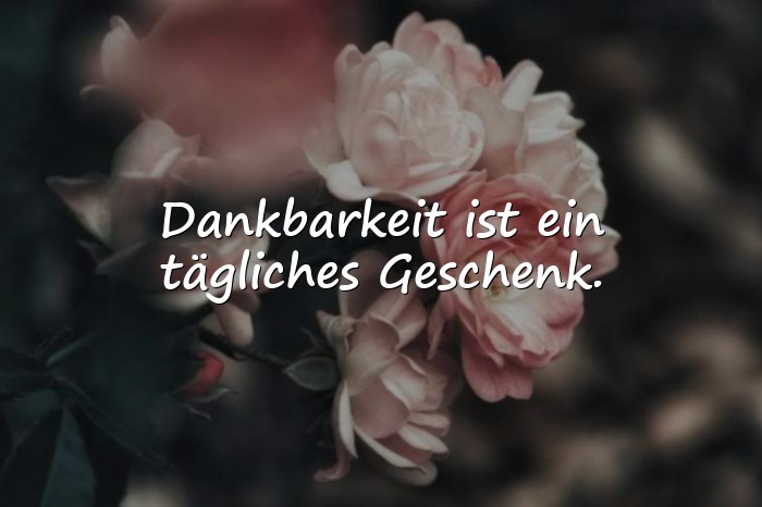 Bilder mit sprüche dankbarkeit - 6