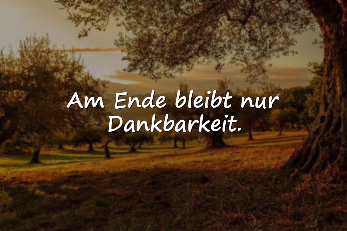 Bilder mit sprüche dankbarkeit - 1