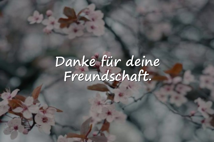 Bilder mit sprüche danke - 6