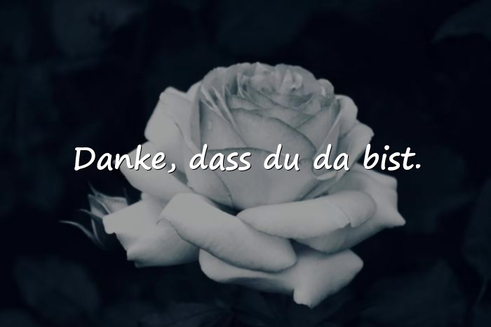 Bilder mit sprüche danke - 1