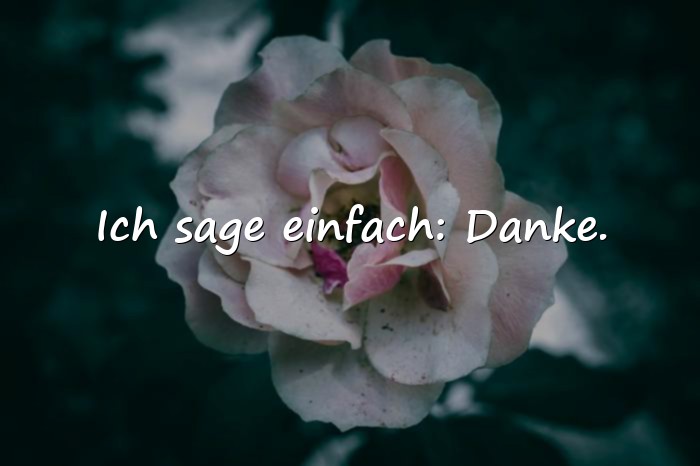 Bilder mit sprüche danke - 22