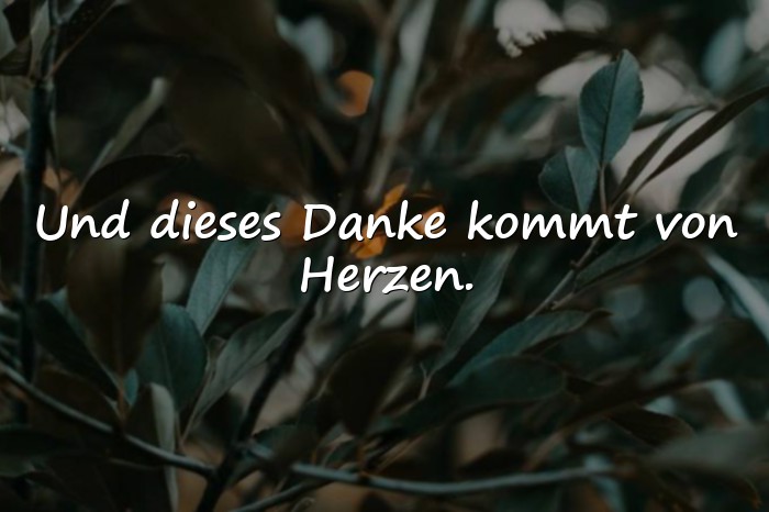 Bilder mit sprüche danke - 1