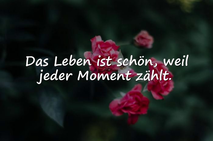 Bilder mit sprüche das leben ist schön - 11