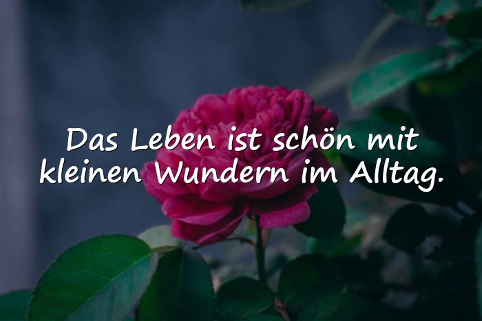 Bilder mit sprüche das leben ist schön - 1