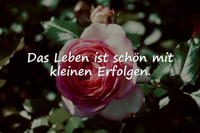 Bilder mit sprüche das leben ist schön - 11