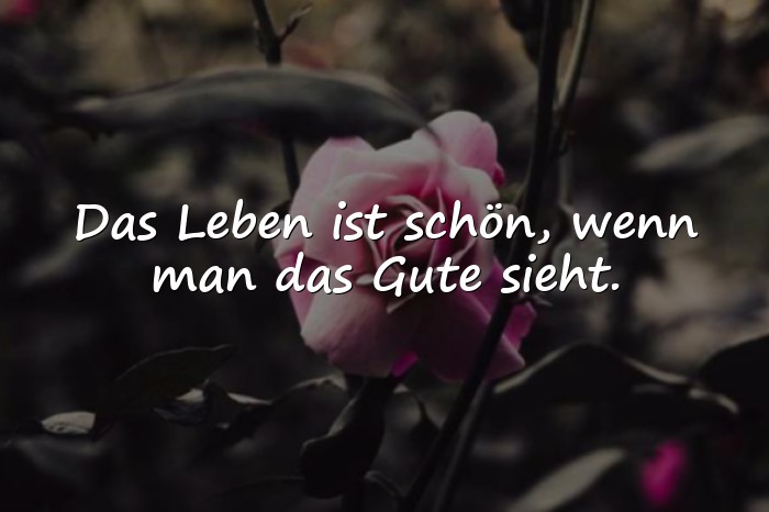 Bilder mit sprüche das leben ist schön - 6