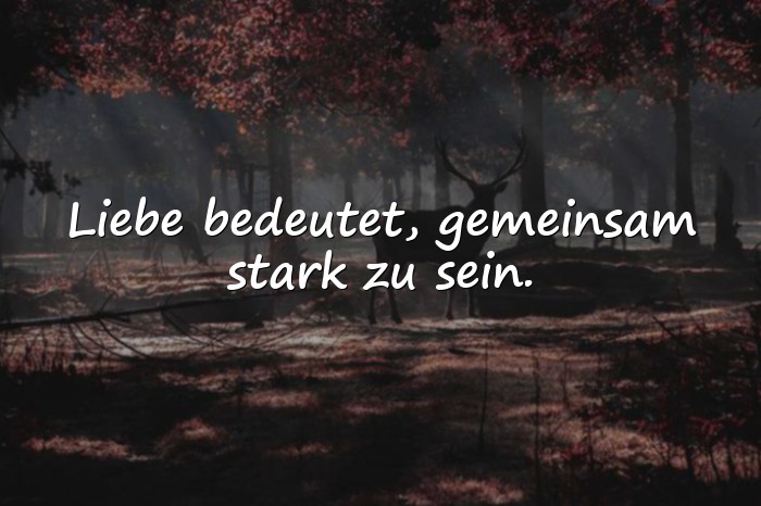 Bilder mit sprüche der liebe - 11