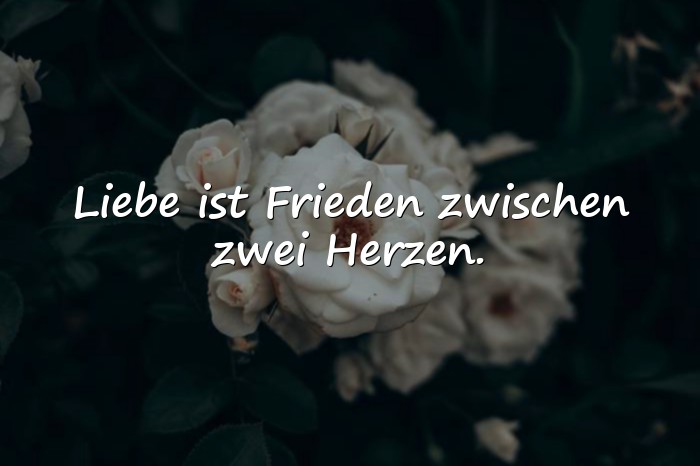 Bilder mit sprüche der liebe - 3