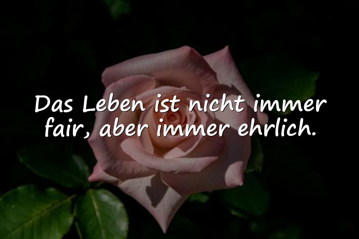 Bilder mit sprüche des lebens - 1
