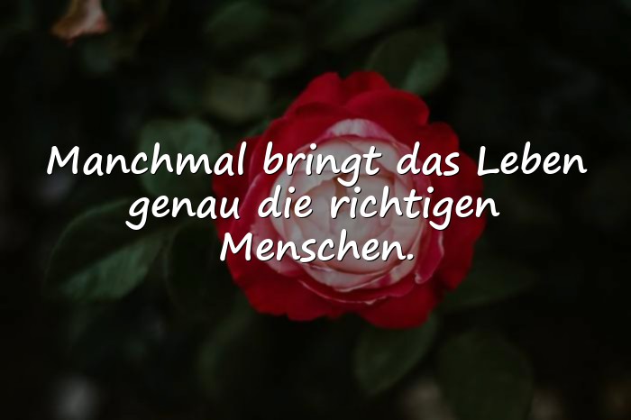 Bilder mit sprüche des lebens - 21