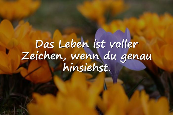 Bilder mit sprüche des lebens - 10