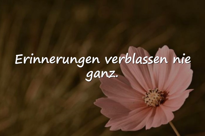 Bilder mit sprüche erinnerung - 20