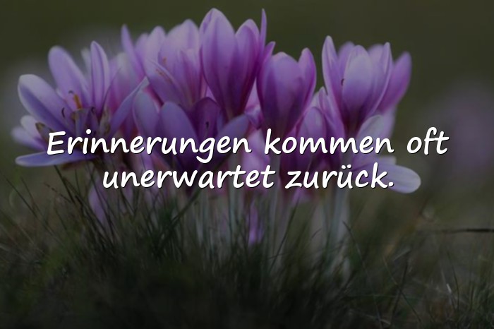 Bilder mit sprüche erinnerung - 1