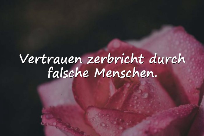 Bilder mit sprüche falsche menschen - 15