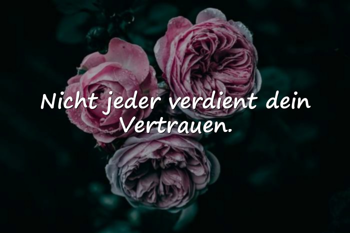 Bilder mit sprüche falsche menschen - 11