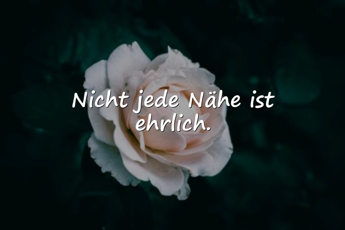 Bilder mit sprüche falsche menschen - 6
