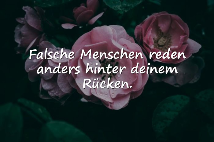 Bilder mit sprüche falsche menschen - 2