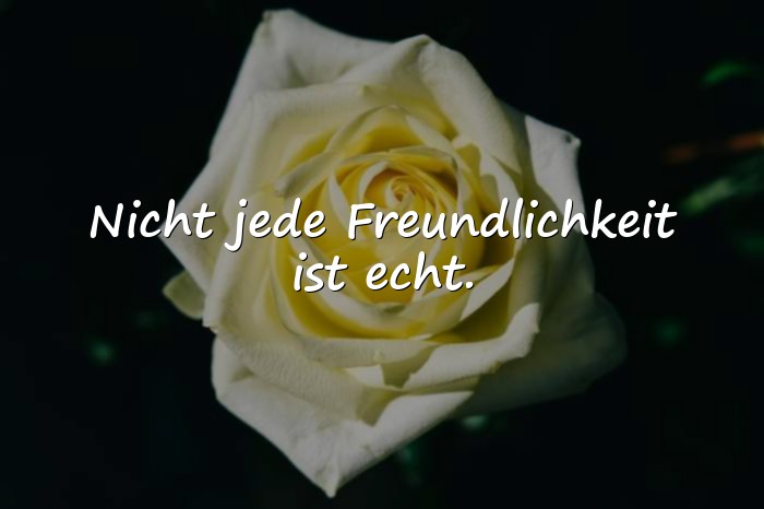 Bilder mit sprüche falsche menschen - 17