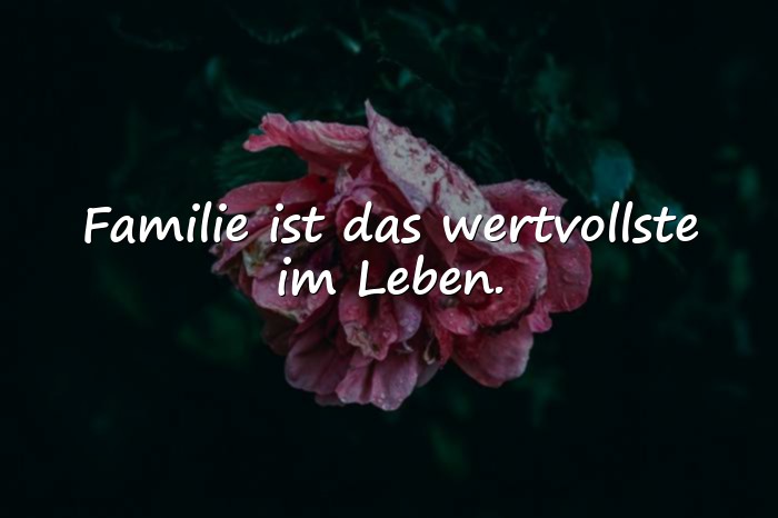 Bilder mit sprüche familie - 4