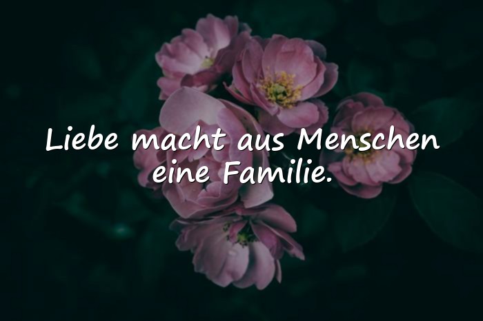 Bilder mit sprüche familie - 24