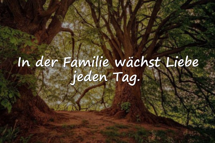 Bilder mit sprüche familie - 16