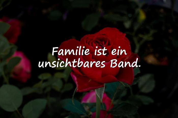 Bilder mit sprüche familie - 6