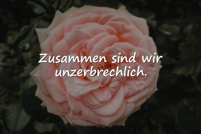 Bilder mit sprüche familienzusammenhalt - 24