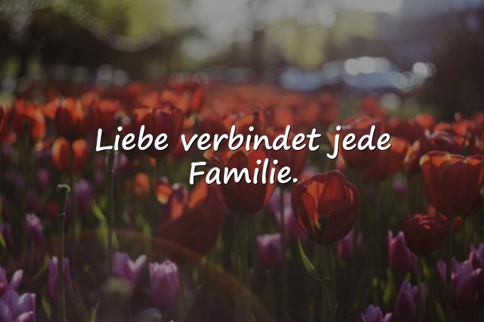 Bilder mit sprüche familienzusammenhalt - 10