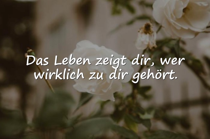 Bilder mit sprüche für das leben - 6